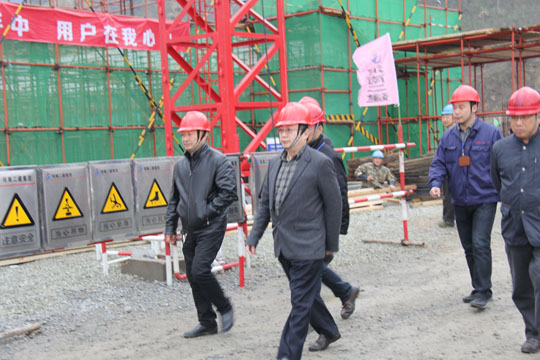 在項(xiàng)目領(lǐng)導(dǎo)陪同下董事長一行視察現(xiàn)場