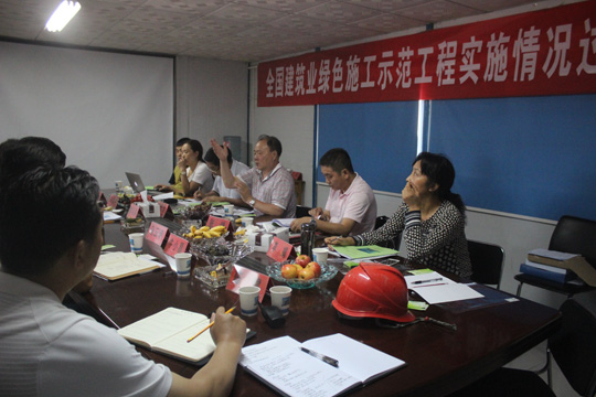 專家組組長汪道金對項目綠色施工做總結評價