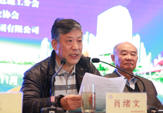 中國工程院院士、中國建筑業(yè)協(xié)會綠色施工分會常務(wù)副會長肖緒文講話