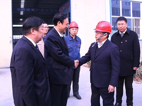 市委書記張國(guó)偉與董事長(zhǎng)黃道元親切握手交談
